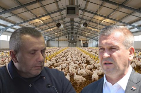 farma pilica – banekovic stricak