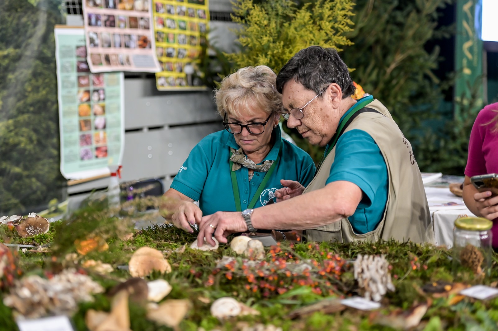 Image 5861203 (auto)