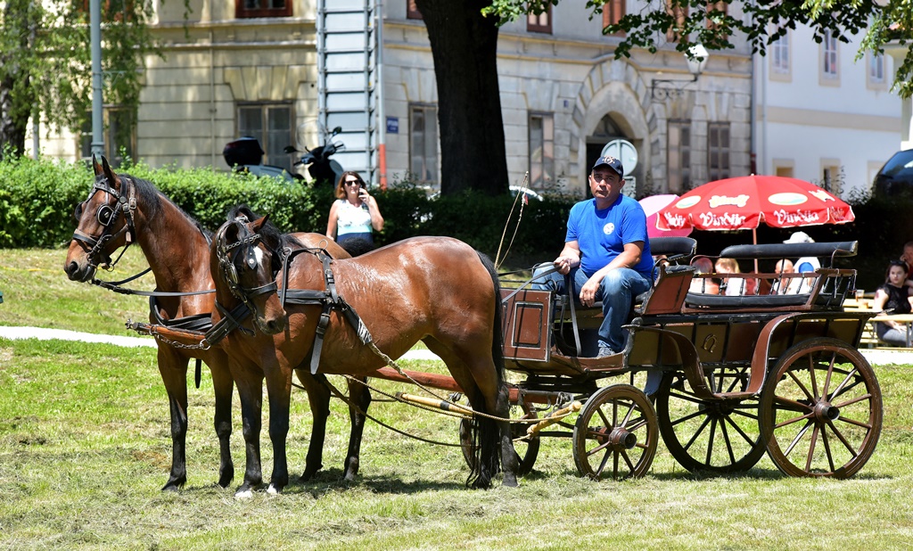 Image 5377170 (auto)