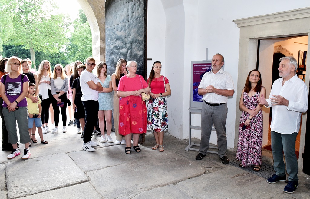 Image 5381656 (auto)