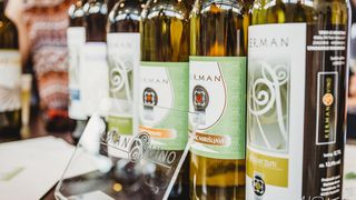 urbanovo20182dio04846893