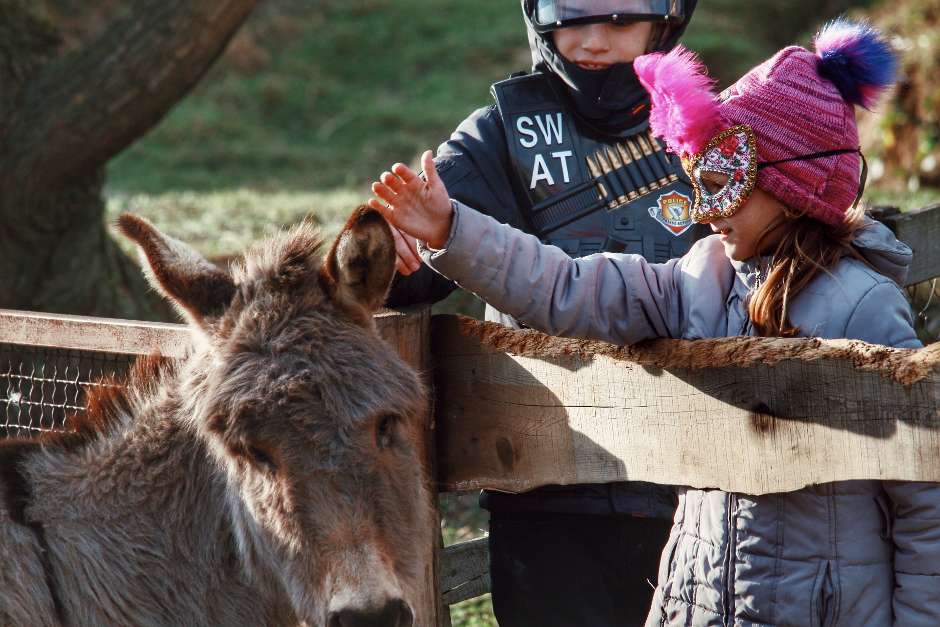 Image 4112837 (auto) Image 4112837 (auto)