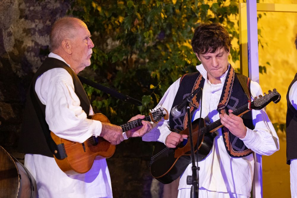 Image 5834295 (auto)