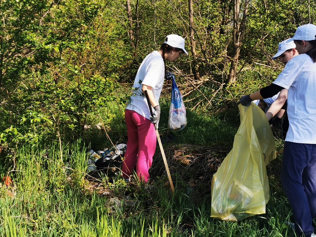 Image 5666875 (auto)