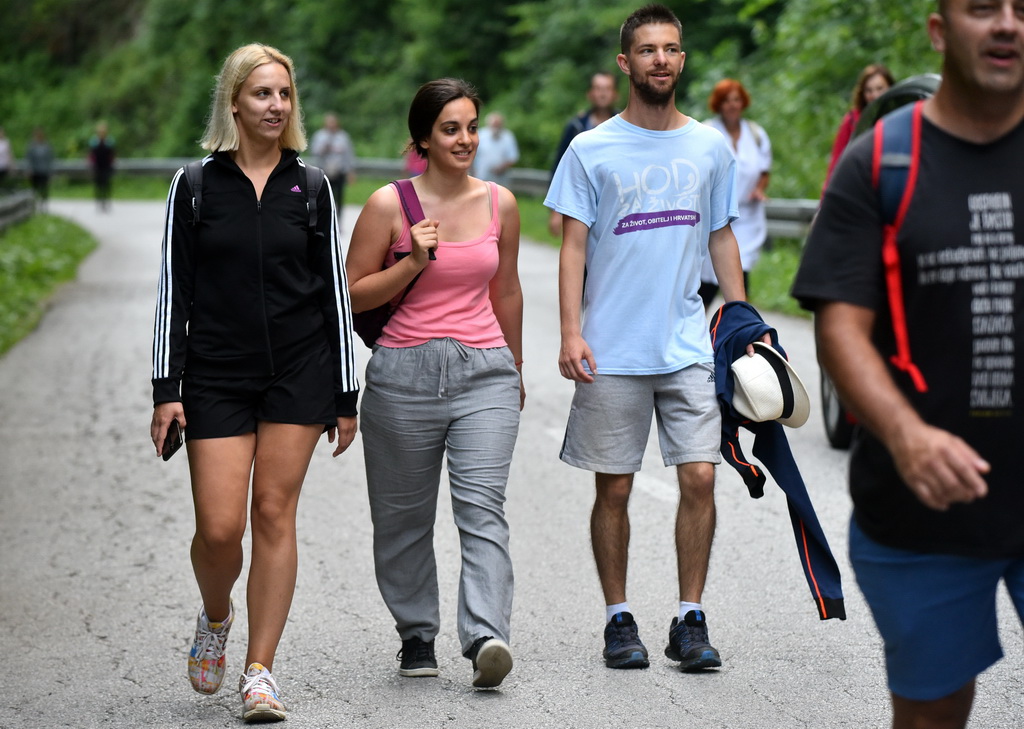 Image 4542366 (auto)