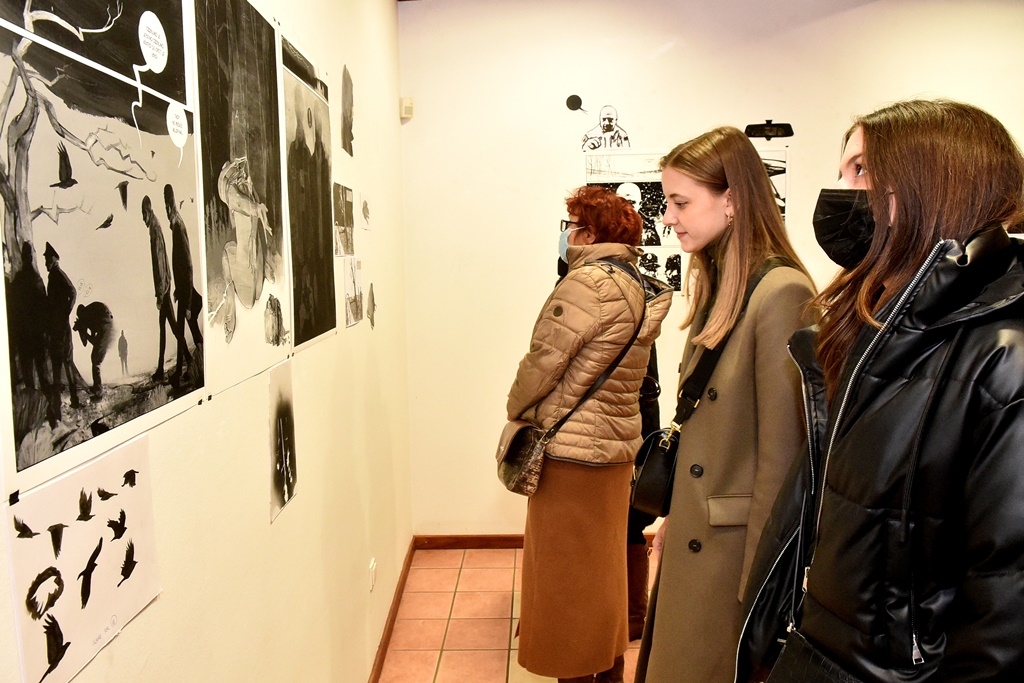 Image 5235510 (auto)