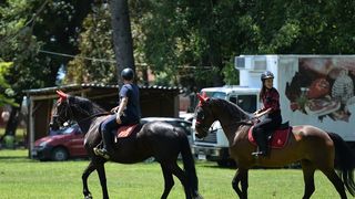 Konjičke igre u Zelendvoru