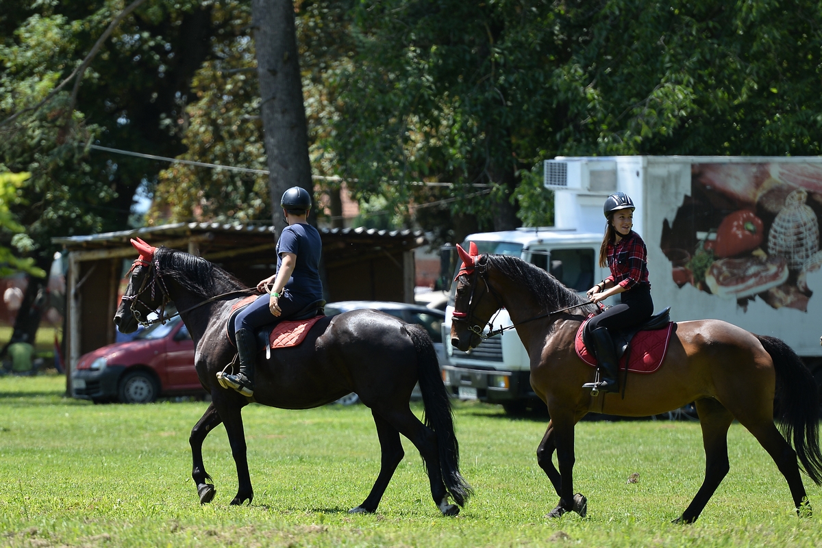 Konjičke igre u Zelendvoru