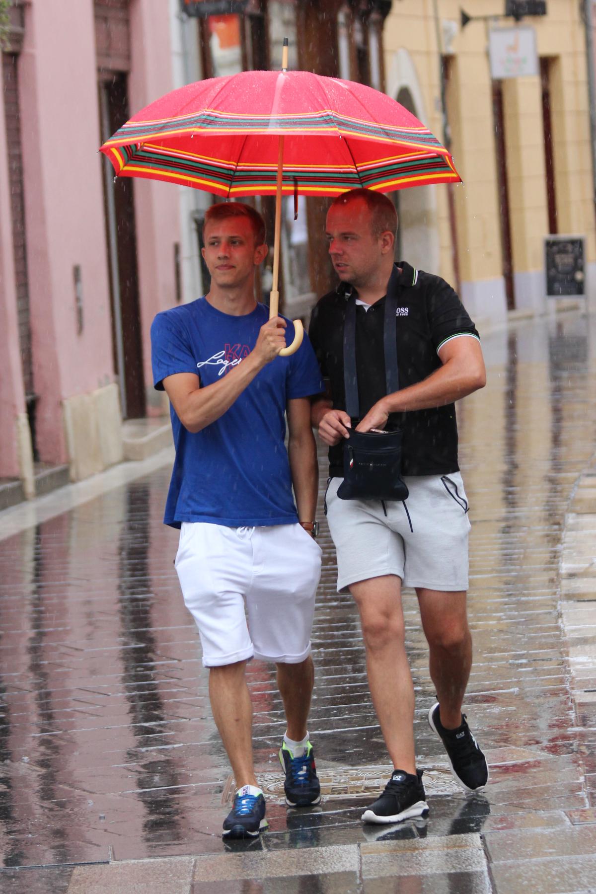 Image 5451350 (auto)