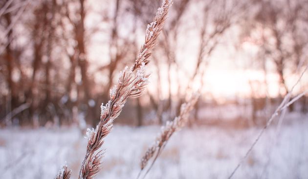 Prognoza – zima, mraz Prognoza – zima, mraz