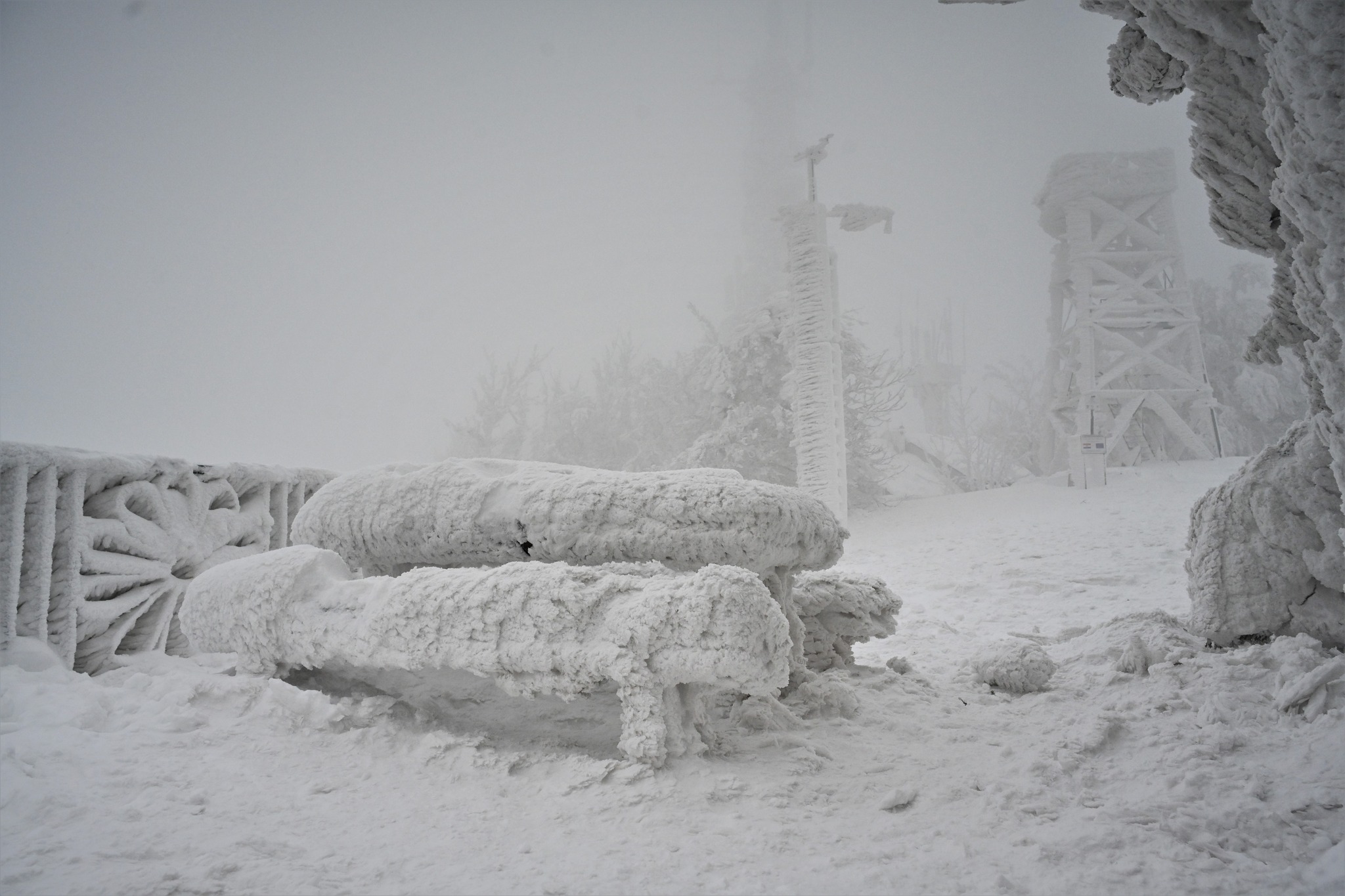 Ivanščica snijeg zima prognoza planina šuma