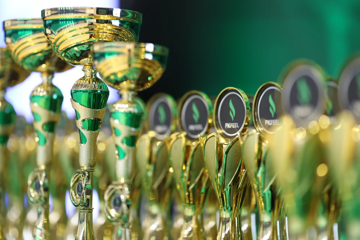 feel dance festival 2024 – foto pk feel 02 feel dance festival 2024 – foto pk feel 02