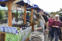 festival_cipka_lep_06_13092025_photo©right by darko gorenak godar festival_cipka_lep_06_13092025_photo©right by darko gorenak godar