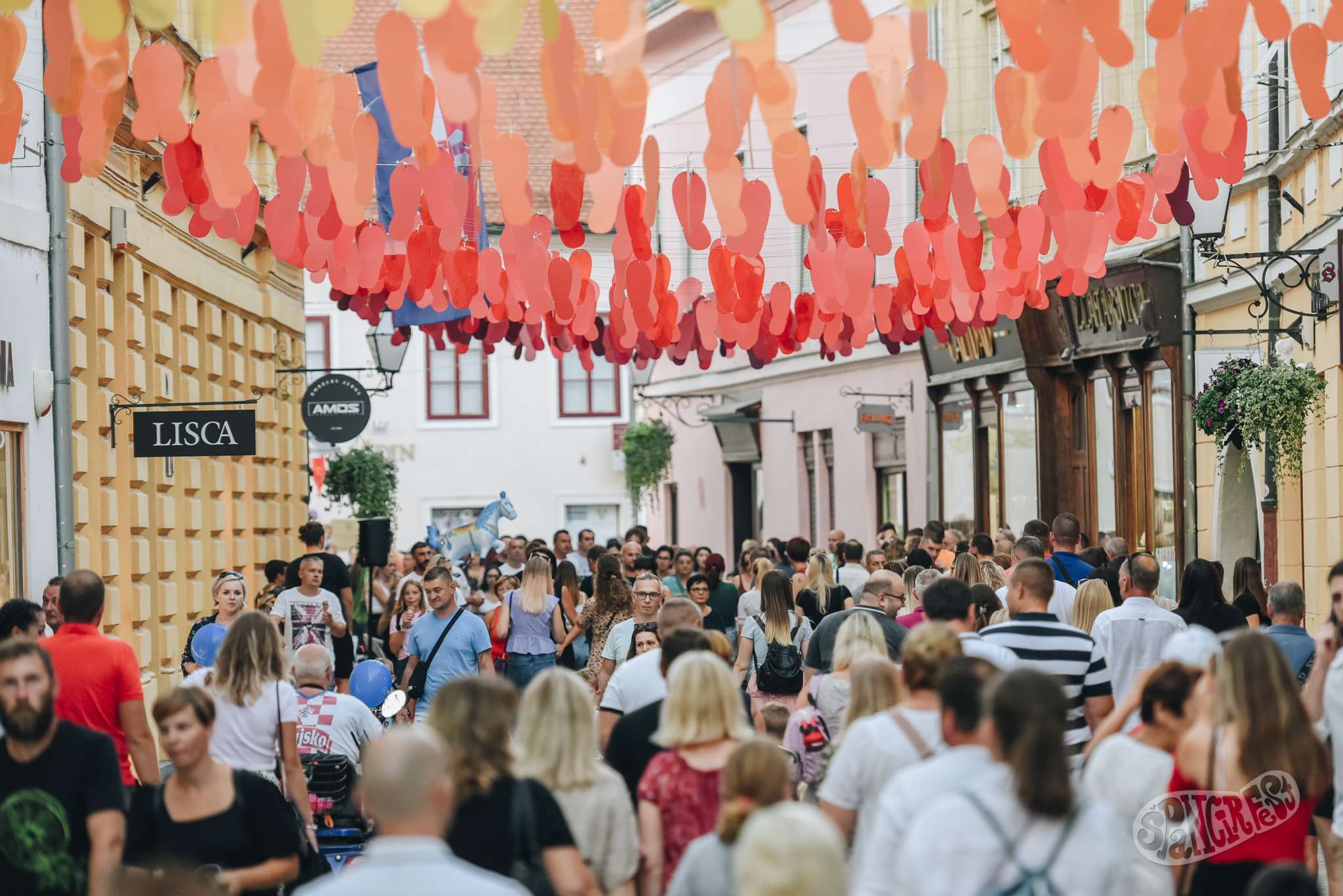 Image 5460154 (auto)