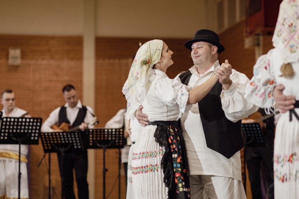 Image 5911855 (auto)