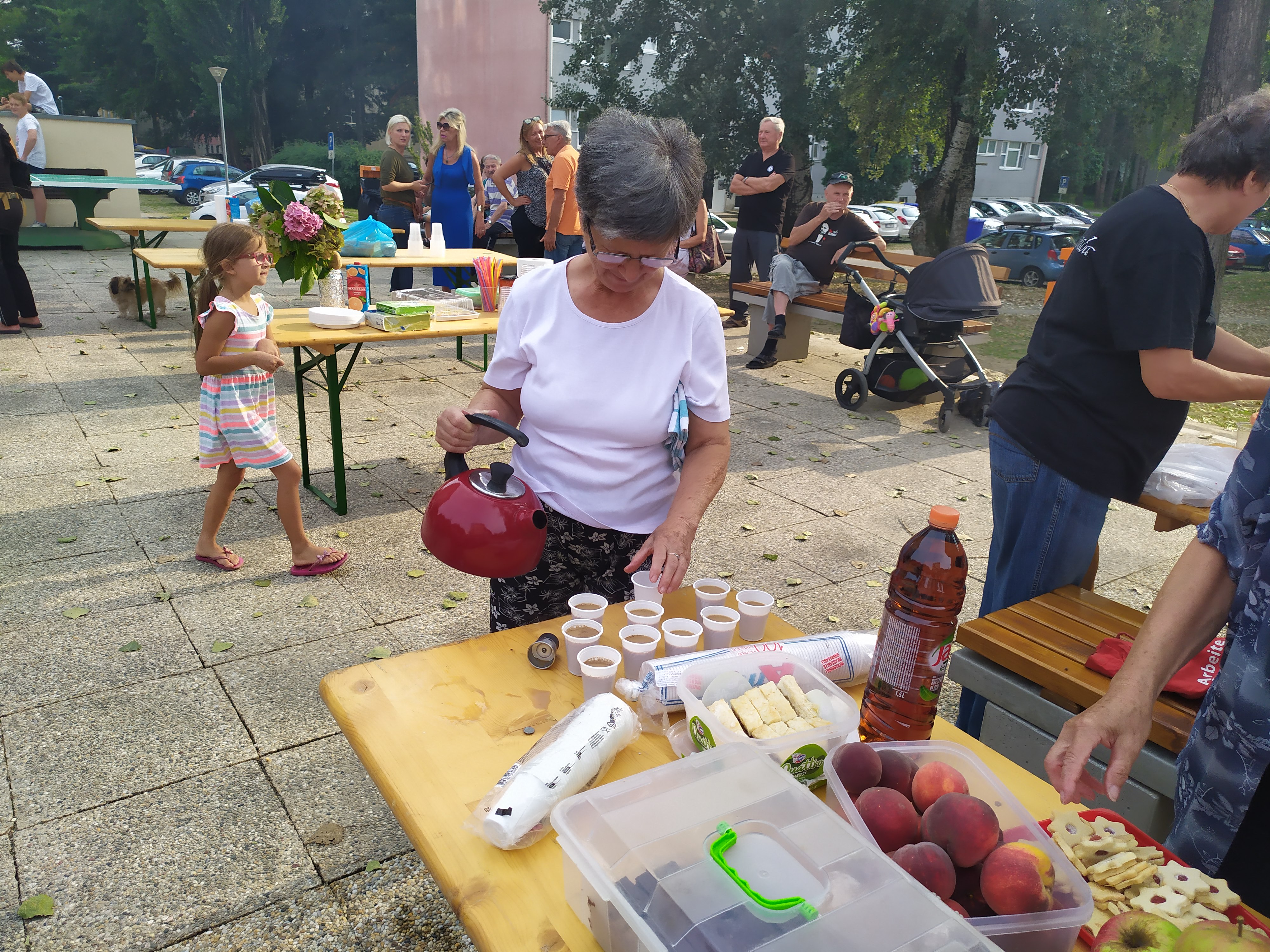 Banfica festa za otvorenje Bregeca