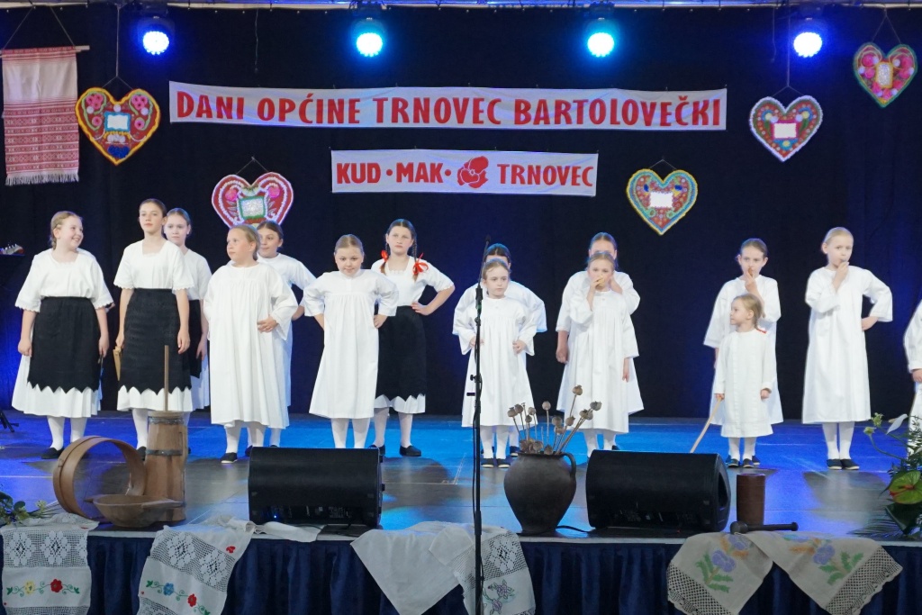 folklorni festival (1)