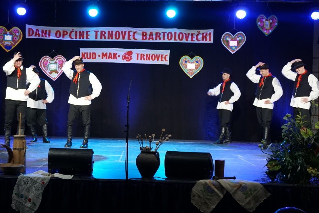 folklorni festival (7)