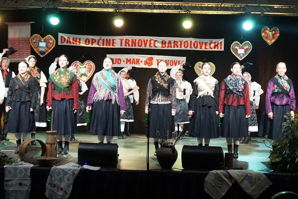 folklorni festival (8)