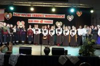 folklorni festival (9)