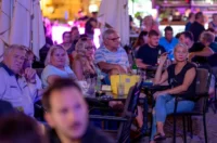 fontana blues festival 2025 – koncertni ured vz 37