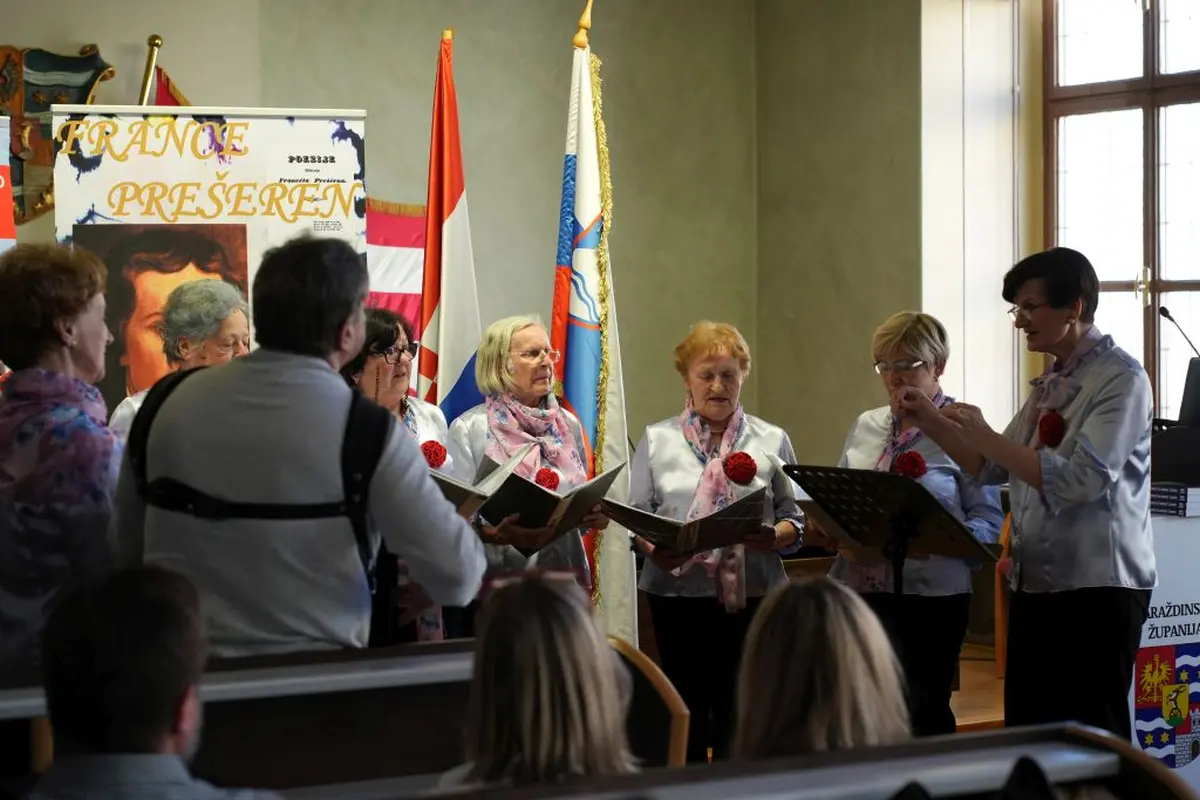 france preseren – grad vz 13