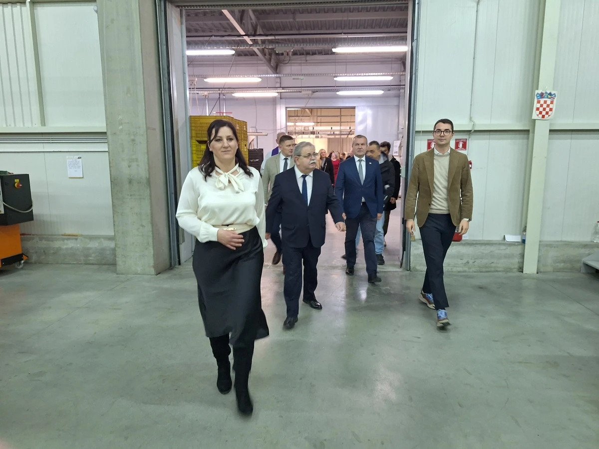 frasson – vz zupanija 07 frasson – vz zupanija 07