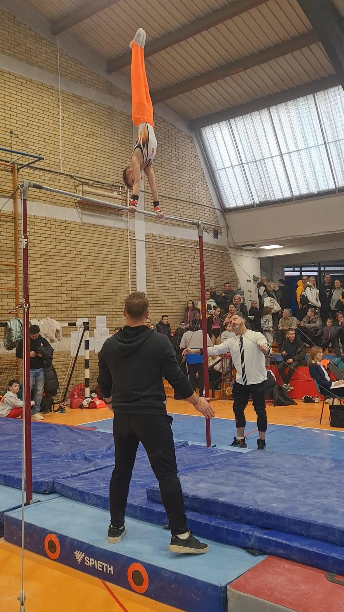 gk vindija novi sad 02