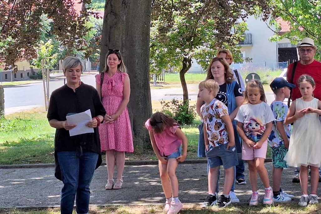 gnm crvenolisna bukva (17)