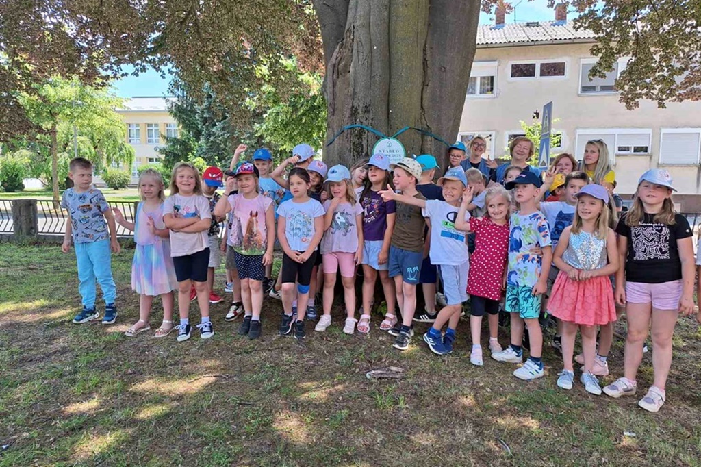 gnm crvenolisna bukva (3)