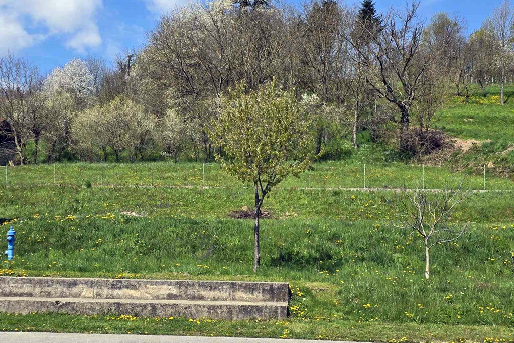 gnm obilazak skola (13) gnm obilazak skola (13)