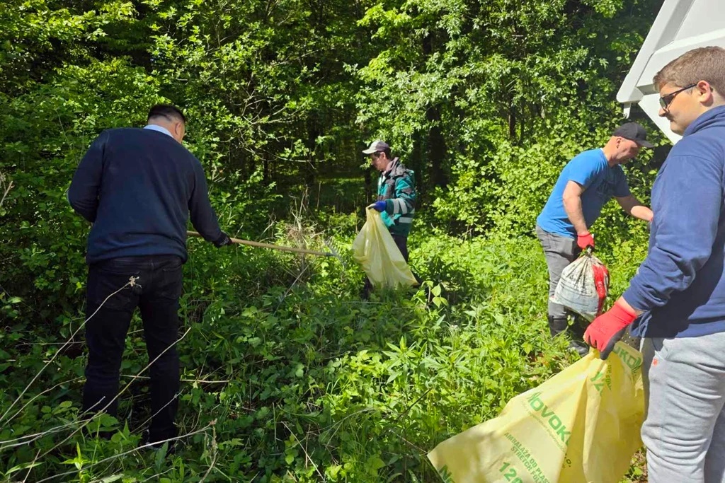 zelena čistka zelena čistka