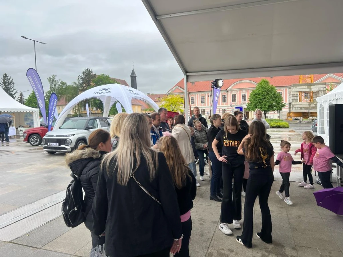 gospodarski sajam – grad vz 07 gospodarski sajam – grad vz 07