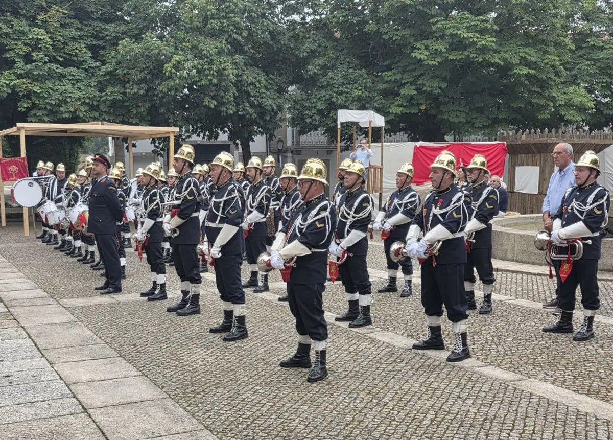 guimares markovic – grad vz 01