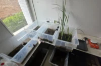 guimares markovic – grad vz 03