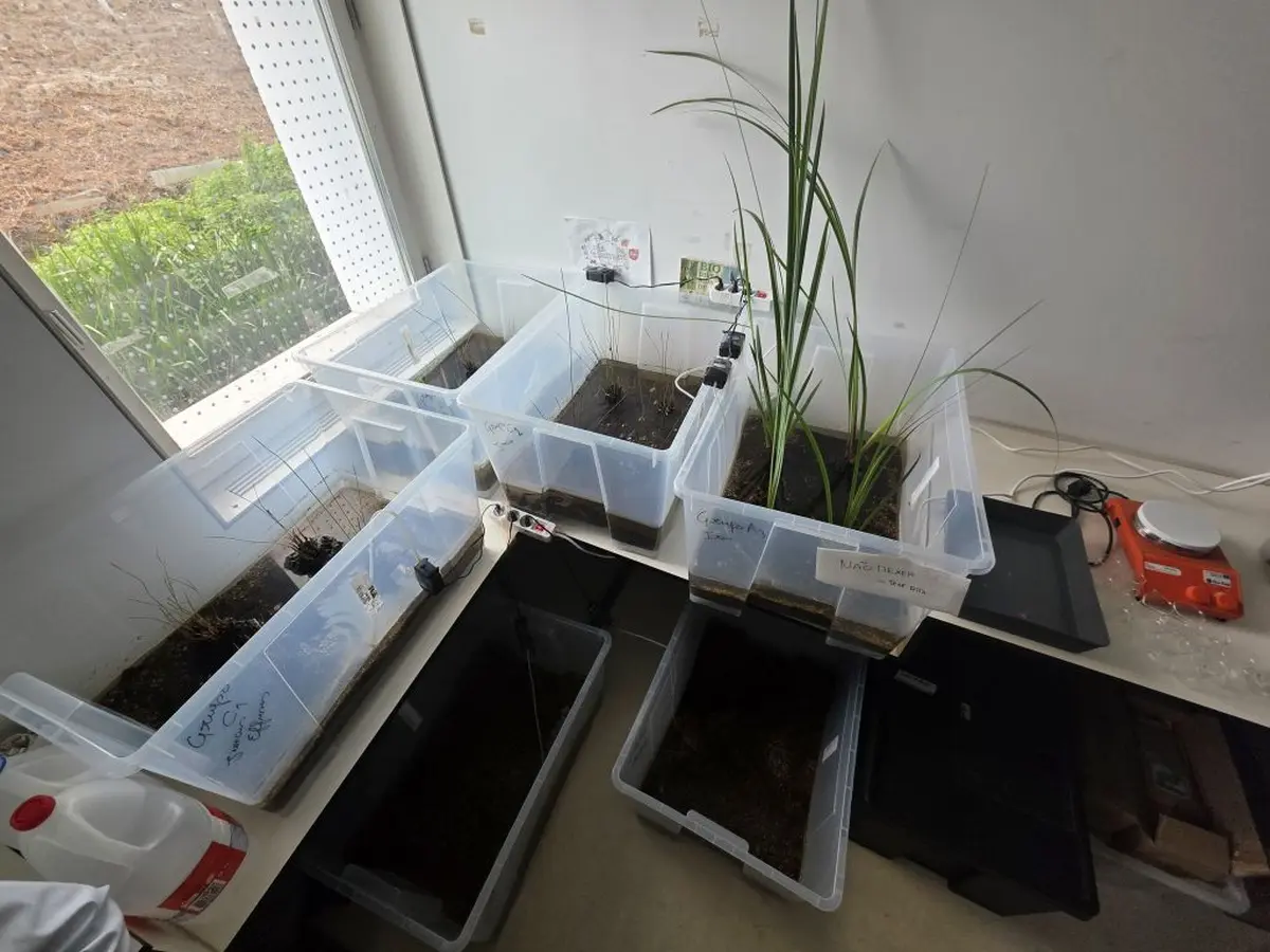 guimares markovic – grad vz 03