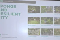 guimares markovic – grad vz 04