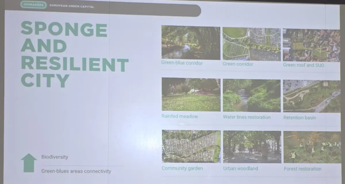 guimares markovic – grad vz 04