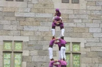 guimares markovic – grad vz 09