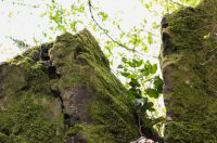 gvt camino (1) gvt camino (1)