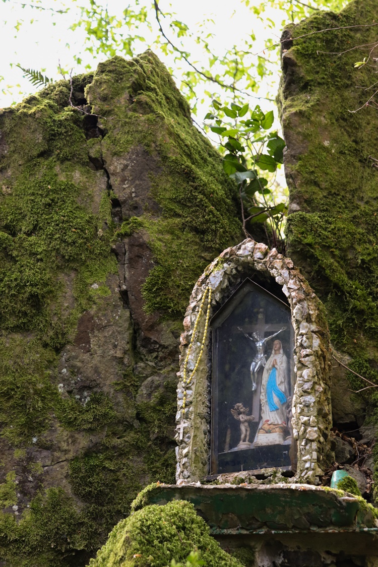 gvt camino (1) gvt camino (1)