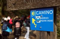 gvt camino (10) gvt camino (10)