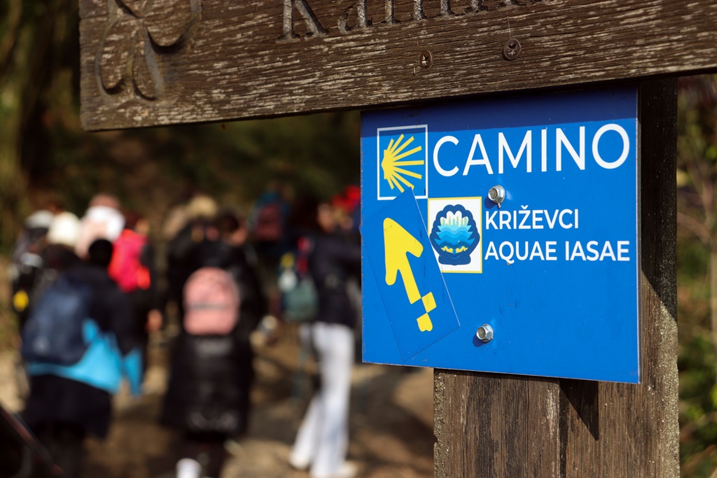 gvt camino (10) gvt camino (10)