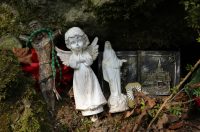 gvt camino (11) gvt camino (11)