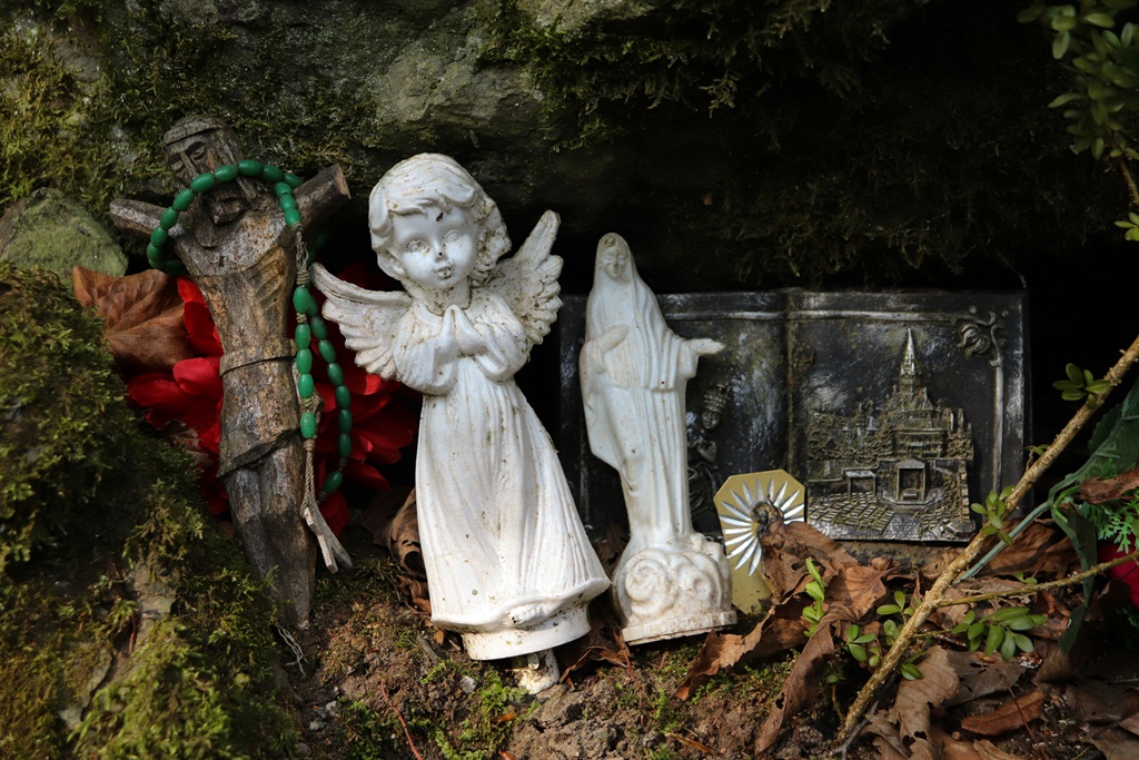 gvt camino (11) gvt camino (11)