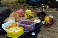 gvt camino (12) gvt camino (12)