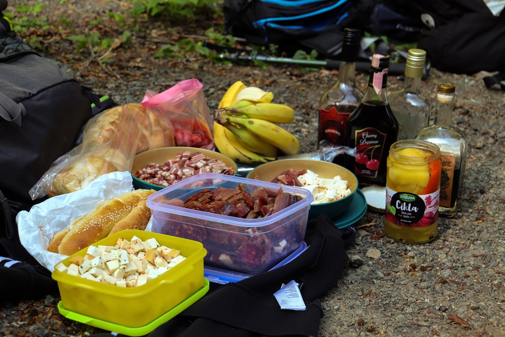 gvt camino (12) gvt camino (12)