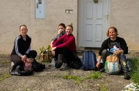 gvt camino (15) gvt camino (15)