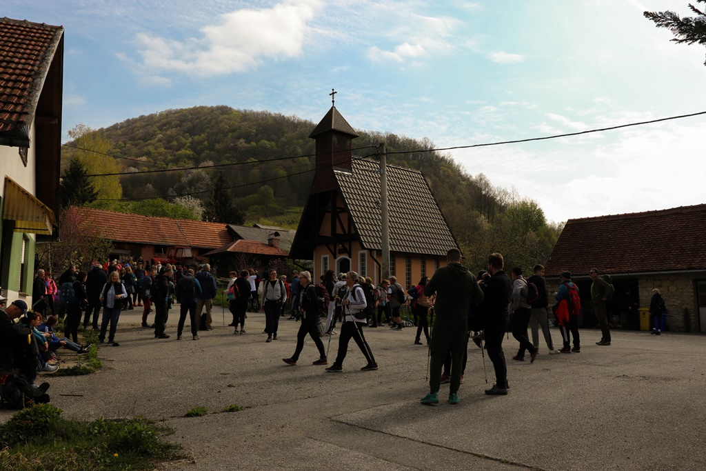 gvt camino (16) gvt camino (16)