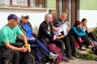 gvt camino (17) gvt camino (17)